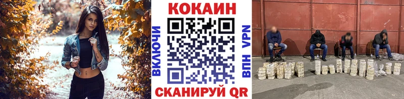 Купить где Вельск Cocaine Fish Scale