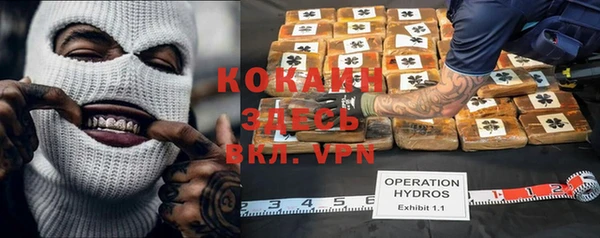 крисы Дмитриев