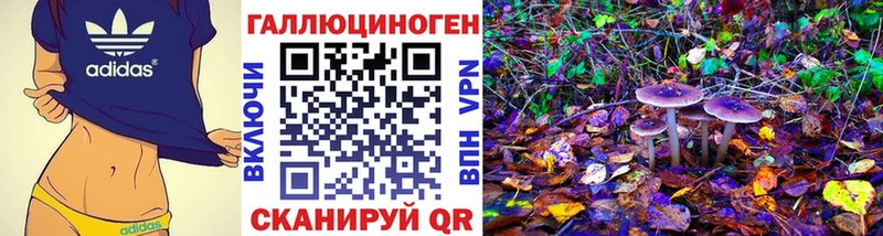 Купить  Вельск  Псилоцибиновые грибы мицелий 